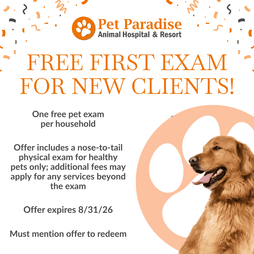 Pet Paradise Animal Hospital & Resort Free First Exam For New Clients