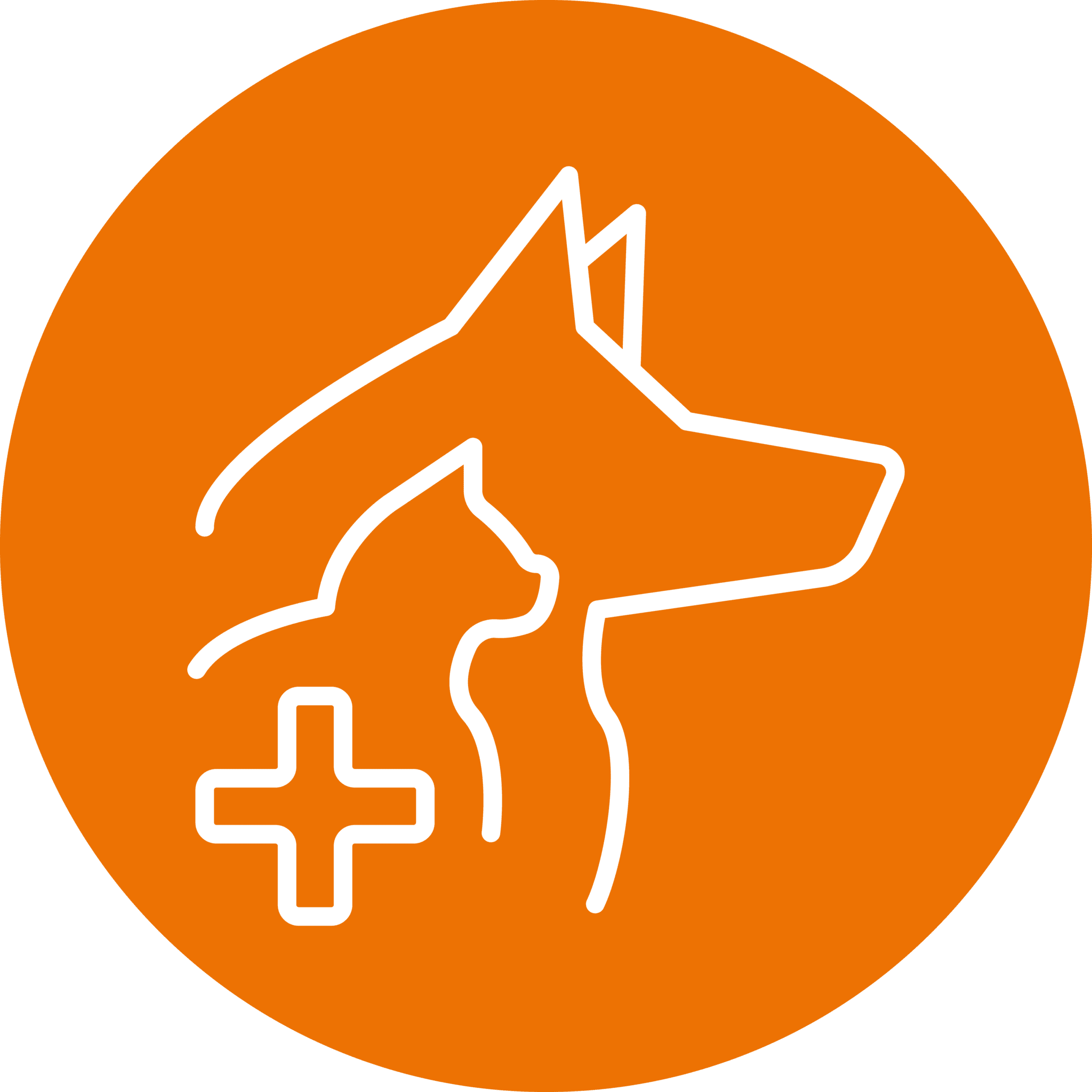drawing of a dog and cat inside of an orange circle