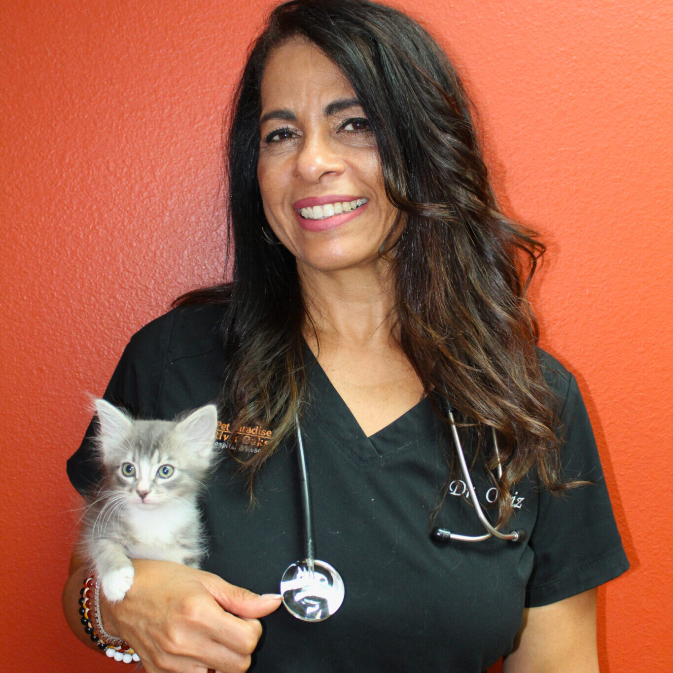 smiling female veterinarian holding a kitten