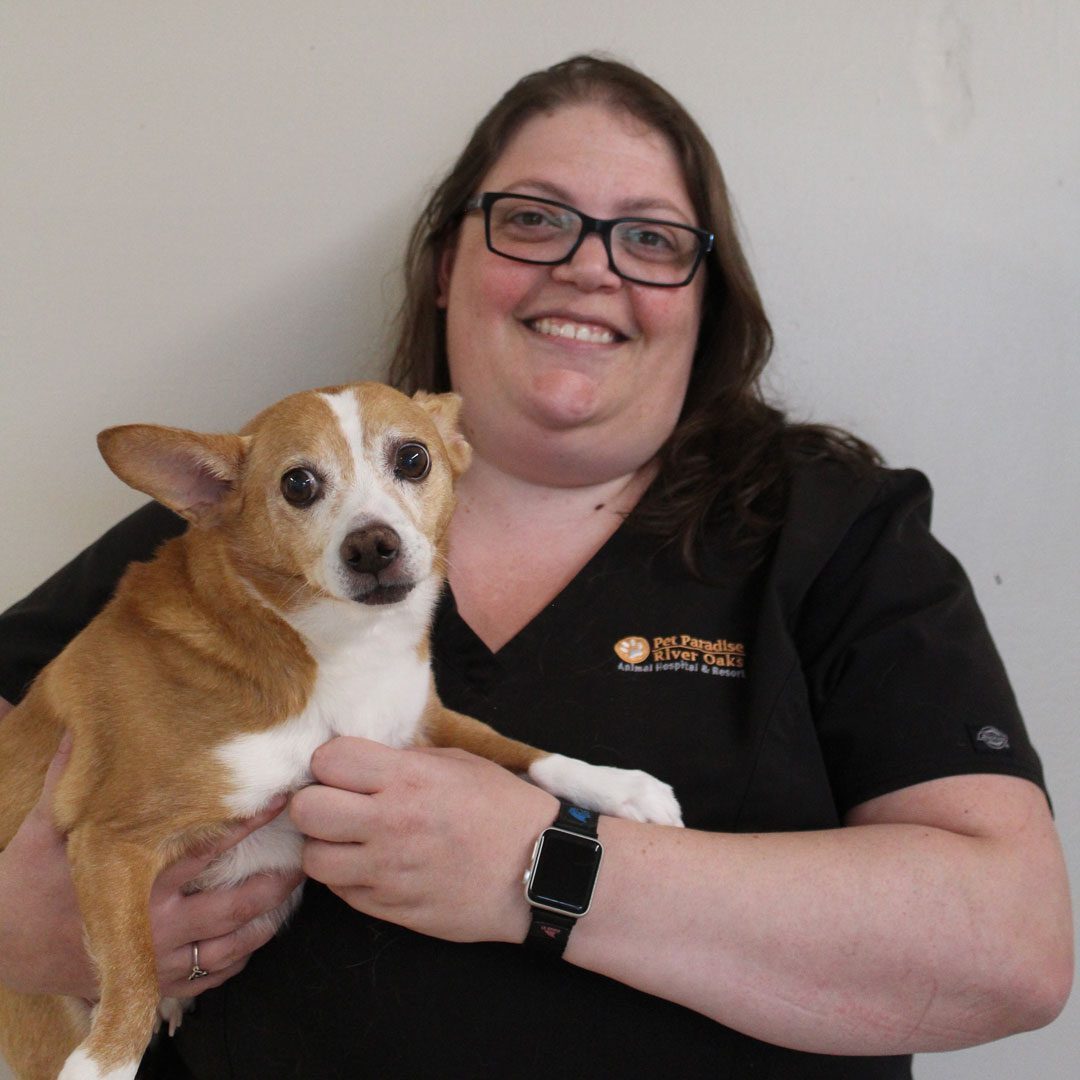 smiling female veterinarian holding orange and white dog