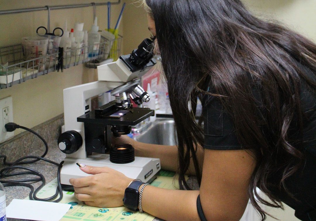 female veterinarian looking through microscope